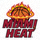 迈阿密热火队Logo